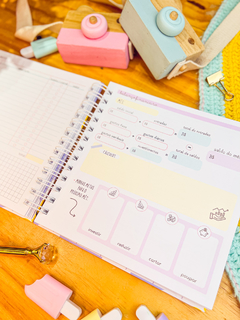 Novo Planner Financeiro - 18x18 - Coleção Florescer - loja online