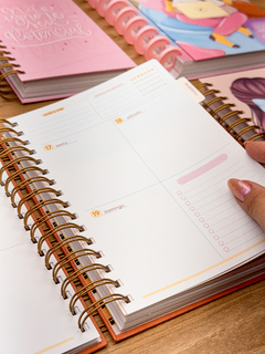 Planner DATADO 2025 Com Divisórias na internet
