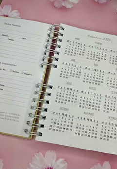 Novo Planner Financeiro - 15x21 - Coleção Florescer - loja online