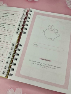 Novo Planner Financeiro - 15x21 - Coleção Florescer - comprar online