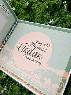 Imagem do Kit Livro do Bebê / Caderneta Vacina + porta documentos - Tema Safari Linho - Alfabeto Menino