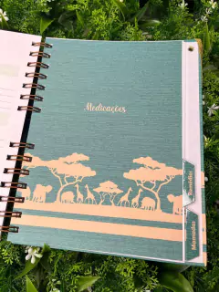 Kit Livro do Bebê / Caderneta Vacina + porta documentos - Tema Safari Linho - Alfabeto Menino - Analice Ateliê