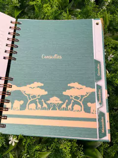 Kit Livro do Bebê / Caderneta Vacina + porta documentos - Tema Safari Linho - Alfabeto Menino na internet