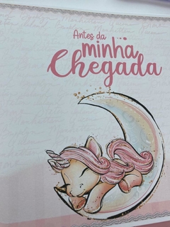 Kit Livro do Bebê / Caderneta Vacina + brinde Body - Tema Unicórnio Luxo