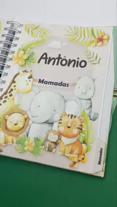 Kit Livro do Bebê / Caderneta Vacina + Porta documentos - Tema Safari Menino