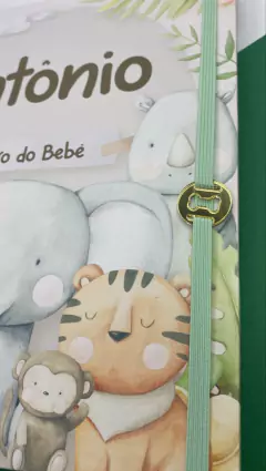 Kit Livro do Bebê / Caderneta Vacina + Porta documentos - Tema Safari Menino na internet