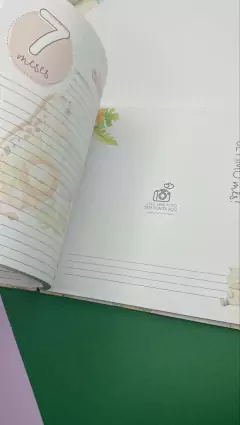 Kit Livro do Bebê / Caderneta Vacina + Porta documentos - Tema Safari Menino - loja online