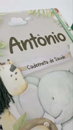 Kit Livro do Bebê / Caderneta Vacina + Porta documentos - Tema Safari Menino - comprar online