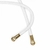 Shorts Mic Golden Rules Feminino na internet