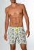 Shorts Redfeather Skull Green Leaves na internet