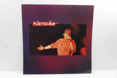 Lp Vinil - Netinho - Um Beijo Pra Voce na internet