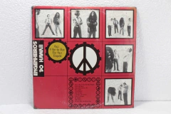 Lp Vinil Engenheiros do Hawaii Ouça Que Digo Não ouça Ningue - comprar online