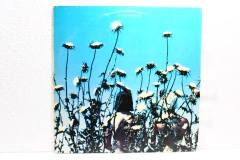 Lp Vinil - The Creatures - Boomerang