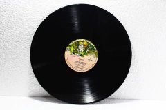 Lp Vinil - Genesis - Trespass na internet