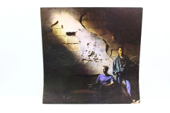 Lp Vinil - Pet Shop Boys - Actually na internet