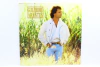 Lp Vinil - Guilherme Arantes - 1987