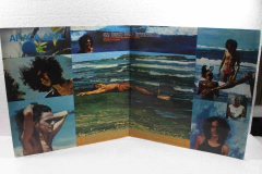 Lp Vinil - Caetano Veloso - Araça Azul na internet