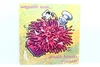 Lp Vinil - Arnaldo Baptista Revisitado - Sanguinho Novo