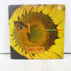 Lp Vinil - Caetano Veloso - Circuladô