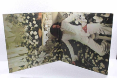 Lp Vinil - Maria Bethania - Passaro da Manha na internet