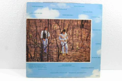 Lp Vinil - Chitaozinho e Xororó - Planeta Azul - comprar online