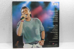 Lp Vinil - Netinho - Um Beijo Pra Voce - comprar online