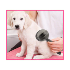 CEPILLO AUTOLIMPIANTE ESPECIAL