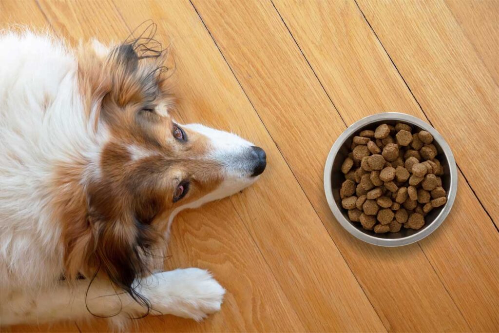 ¡Balanceado para animales!
