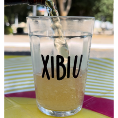 Xibiu