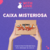 Caixa Misteriosa - Evangelion
