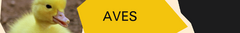 Banner de la categoría Jaulas y Nidos