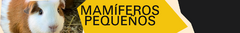 Banner de la categoría Alimento