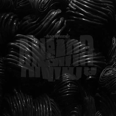 Anmod - Inner Upheavals