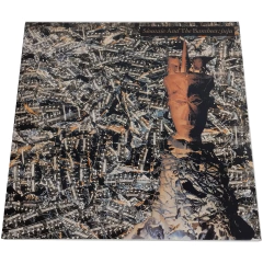 Siouxsie And The Banshees - Juju (Vinil 180 gramas) - comprar online