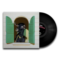 Superchunk - Wild Loneliness vinil