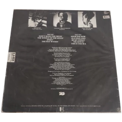The Waterboys - This Is The Sea - ABC Terror Records