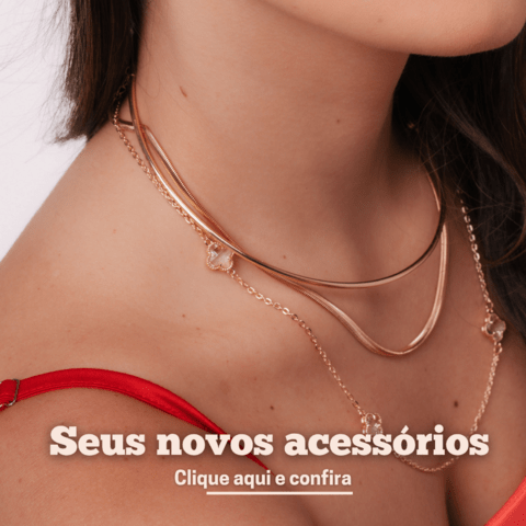 Carrossel 1