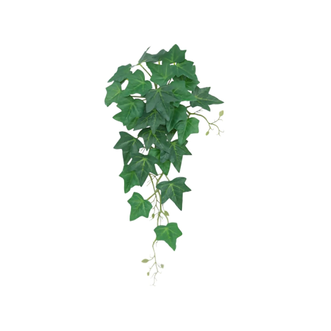 CAÍDA HIEDRA DISCIPLINADA (40 CM)