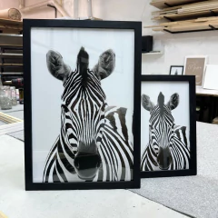 CUADRO CON MARCO 40 X 60 (CEBRA B&W)