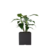 MACETA CUBO 20 CM - comprar online