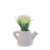 MACETITA REGADERA TULIPÁN 10 CM