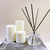 TRIO LAVANDA - loja online
