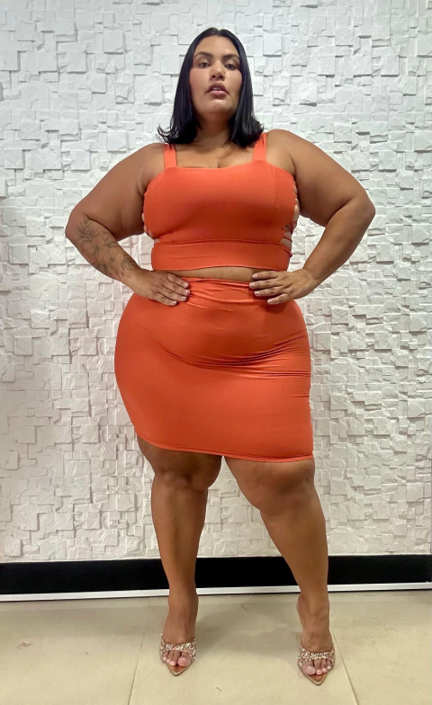 CONJUNTO SANFONA PLUS - comprar online