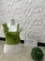 CROPPED BRUNA PLUS