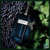 Y Eau de Parfum Intense de Yves Saint Laurent - comprar online