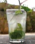 Vaso de vidrio Durax 400 ml - comprar online