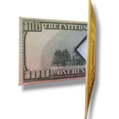 BILLETERA DOLARS - comprar online