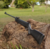 Carabina Rossi Sport UP 5.5mm Carabina de Pressão Rossi 5.5mm Rossi Sport UP Spring 5.5mm Carabina de Mola Helicoidal Rossi Airgun Rossi Sport UP 5.5mm Tiro Esportivo Rossi Coronha Polímero Alta Densidade Alça e Massa de Mira Fibra Óptica Velocidade 640 F