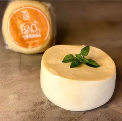 Queijo Minas Padrão Troço Bom 225g