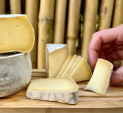 Queijo Casa de Roça Especial - 400g - comprar online